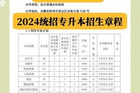 网络营销与直播电商专升本 - 安徽网络营销与直播电商专升本