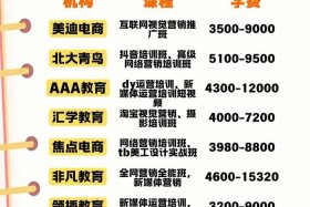 北京电商培训去哪里学 - 北京电商运营培训班哪家好