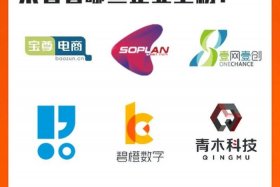 网创电商做得好的品牌 - 网创电商做得好的品牌公司