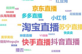 电商游戏直播（电子游戏直播平台）