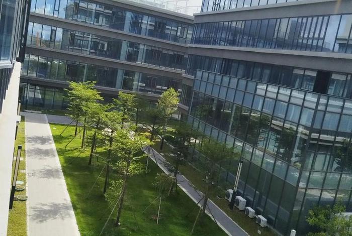 电商创业园的建设意义 - 电商创业园的建设意义和作用