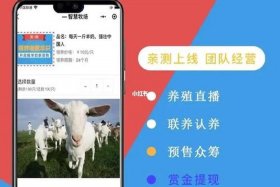 农业电商怎么操作（农业电商怎么操作赚钱）