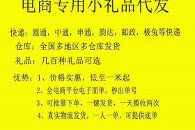 电商小礼品代发韵达（快递小礼品代发）