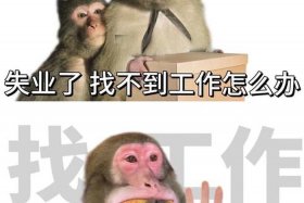 电商找工作搞笑 电商找工作搞笑视频