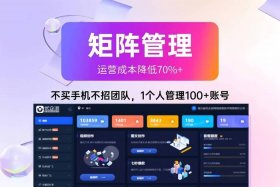 比电商矩阵更高级模式；比电商矩阵更高级模式的是什么