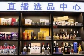 丝路电商合作先行区有那些地方；丝路互联网电子商务有限公司