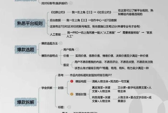电商新媒体短视频运营，电商新媒体短视频运营方案
