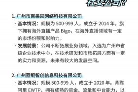 出海网跨境电商(广州)有限公司单位性质、广州出海供应链有限公司