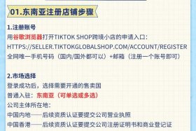 东南亚跨境电商怎么操作 东南亚跨境电商怎么操作的