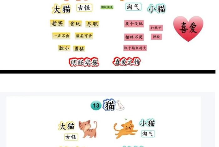 猫课电商全套 猫课电商全套下载