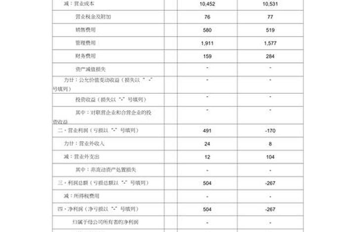 电商利润表模板（电商利润表模板图片）