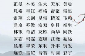 电商公司名字大全（电商公司名字大全未被注册的）