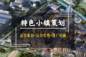 电商小镇建设方案；电商小镇建设方案设计