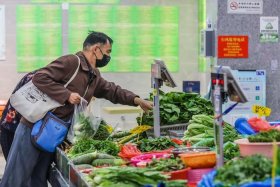 上海回应买菜 - 上海回应买菜的事件