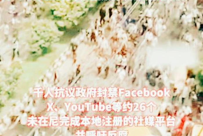 尼泊尔解除社交媒体禁令;尼泊尔解除社交媒体禁令的原因 尼泊尔解除社交媒体禁令;尼泊尔解除社交媒体禁令的原因