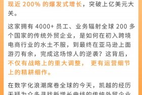 宁波电商公司 宁波电商公司排名前十