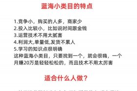 电商中蓝海类目是什么，电商中蓝海类目是什么意思