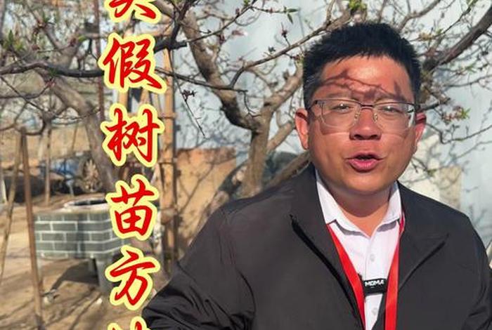 网上买到假树苗(网上买到假树苗种植2年了,这种官司好打吗) 网上买到假树苗(网上买到假树苗种植2年了,这种官司好打吗)