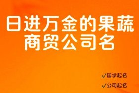 电商卖家公司（电商卖家公司名称大全）