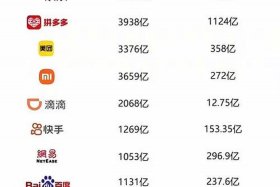 中国十大电商巨头 - 中国十大电商巨头排名