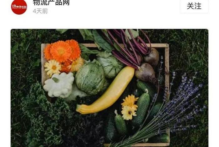 生鲜电商第一股来了 - 生鲜电商第一股上市了 生鲜电商第一股来了 - 生鲜电商第一股上市了