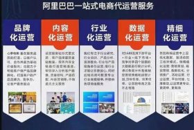 专业电商店铺代运营公司、专业电商店铺代运营公司怎么做