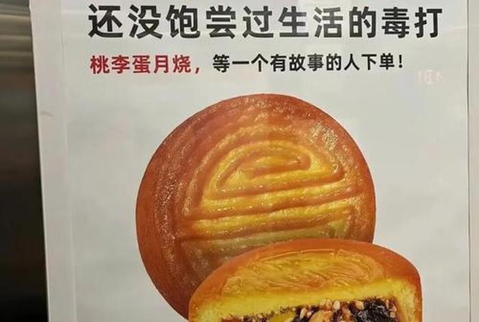 桃李面包广告文案引发争议 - 桃李面包广告视频 桃李面包广告文案引发争议 - 桃李面包广告视频