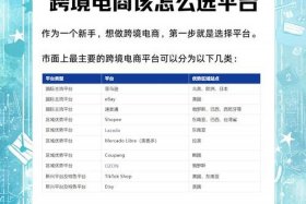新人做跨境电商选哪个平台好，新人做跨境电商选哪个平台好一点