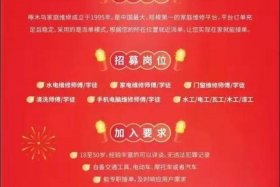 加盟电商啄木鸟需要什么条件、怎么加盟啄木鸟家电维修