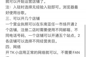 东南亚电商平台个人开店（东南亚电商平台个人开店流程）