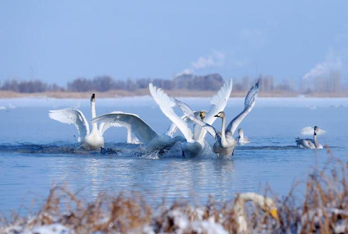 品牌电商直播展厅江宁天鹅数字产业园、宁波天鹅体育用品制造有限公司 品牌电商直播展厅江宁天鹅数字产业园、宁波天鹅体育用品制造有限公司
