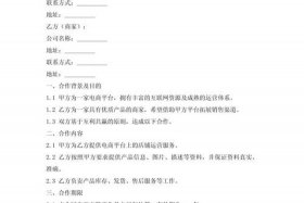 电商合作协议合同范本免费下载，电商合作协议合同范本-通用