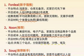 中东电商平台哪个好做、中东电商平台哪个好做一点