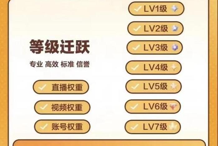 电商项目级别、电商项目级别有哪些 电商项目级别、电商项目级别有哪些