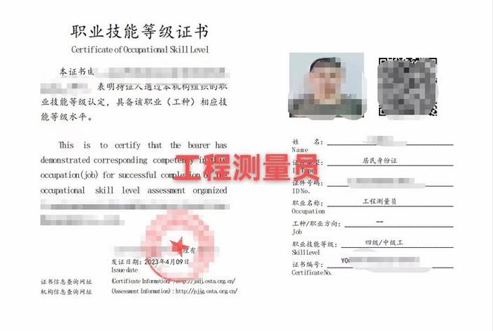 电商报单员是干嘛的（电商报单员是干嘛的啊）