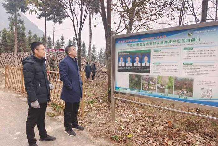 汉中电商孵化基地(汉中电商孵化基地地址) 汉中电商孵化基地(汉中电商孵化基地地址)