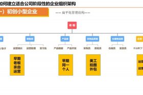 电商团队人员架构；电商团队人员架构图