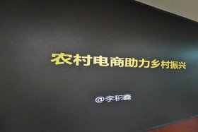 农村电商助力乡村振兴、农村电商助推乡村振兴