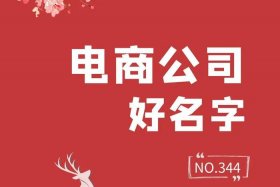 什么是电商平台公司 什么是电商平台公司名称