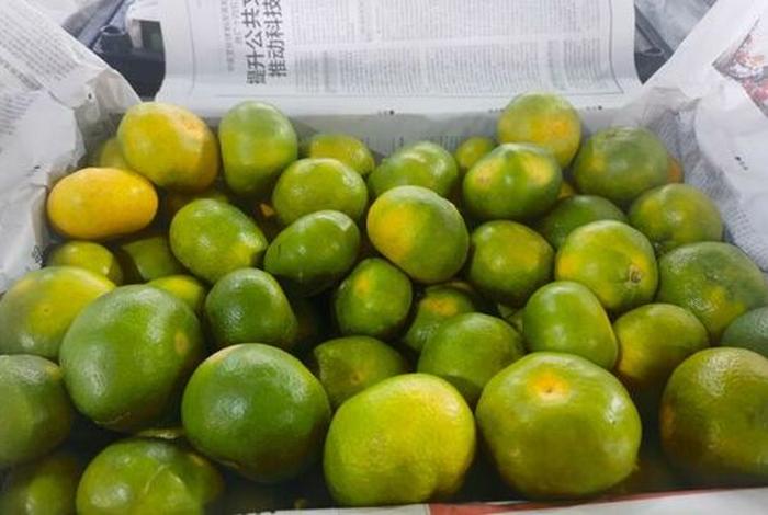 云南电商产品,云南电商产品介绍 云南电商产品,云南电商产品介绍