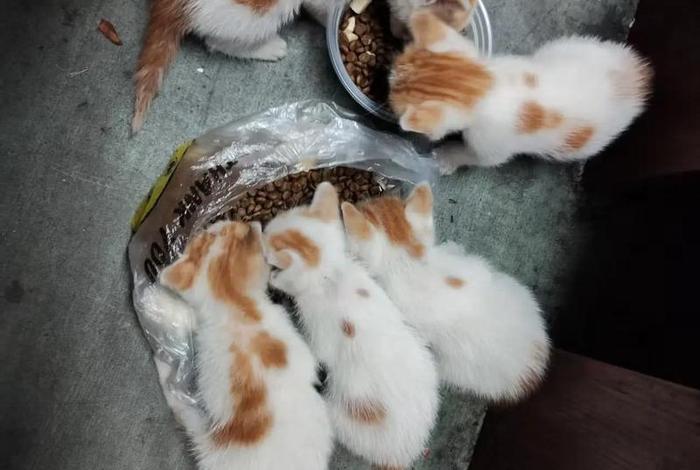 佛山南海里水安林电商物流园;佛山市南海区安林电商物流园 佛山南海里水安林电商物流园;佛山市南海区安林电商物流园