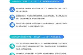 二类电商运营自学全套教程（二类电商运营方案ppt）