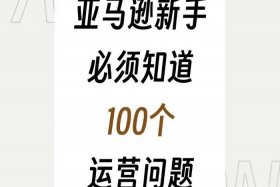 新手做跨境电商需要知道的问题 - 新手做跨境电商需要知道的问题有哪些