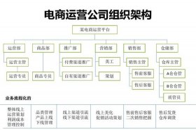 电商公司人员架构；电商公司人员架构方案