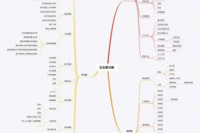 内容电商的作用；内容电商的作用和意义