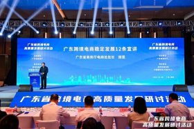 广东电商公司（广东电商公司集团老板是谁）