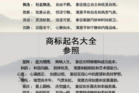 电商公司名字取名大全 电商公司名字取名大全三字