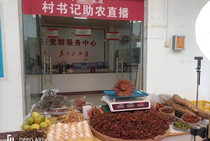 农村做电商的方法和技巧、农村做电商的方法和技巧视频 农村做电商的方法和技巧、农村做电商的方法和技巧视频