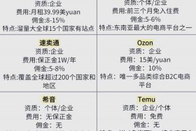 普通人如何做跨境电商（普通人如何做跨境电商销售）