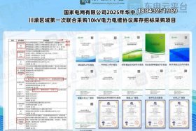国家电网电商平台创新专区的采购资金是什么类型；国家电网采购平台怎么入围